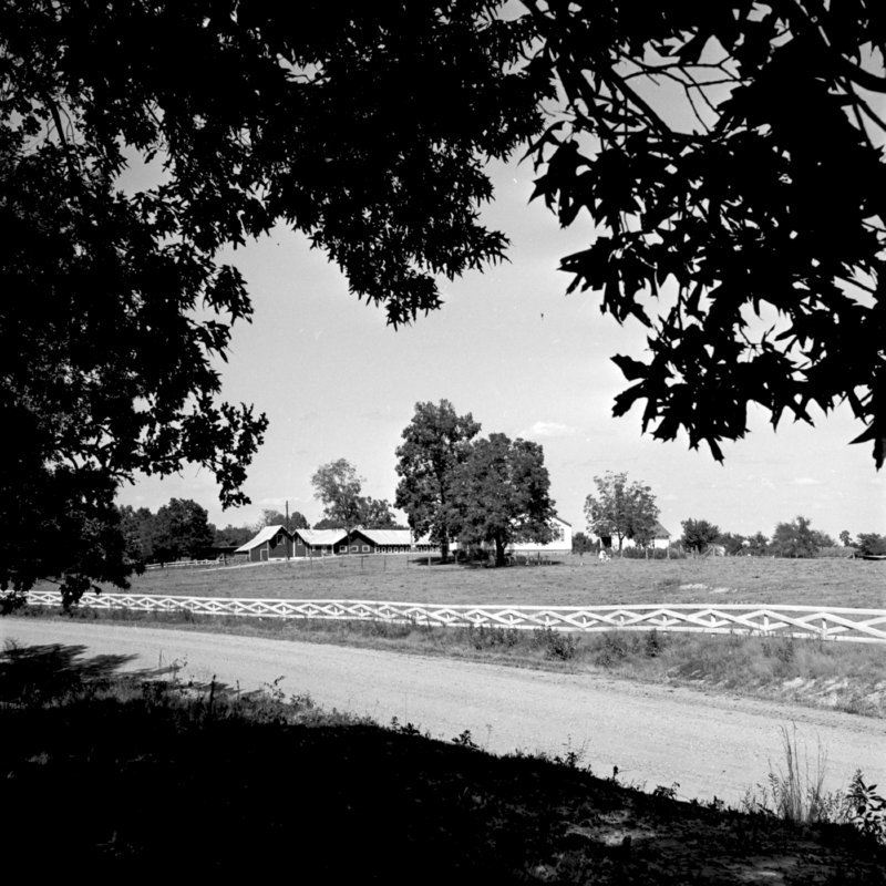134_and a rural environment... (1951).jpg